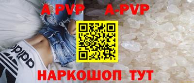 гашик Дубна
