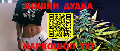 гашик Дубна