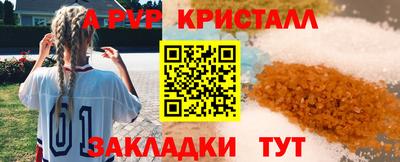 гашик Дубна