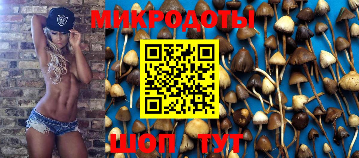 Галлюциногенные грибы Cubensis  где продают наркотики  Магадан  Псилоцибиновые грибы Cubensis  Вход с VPN 