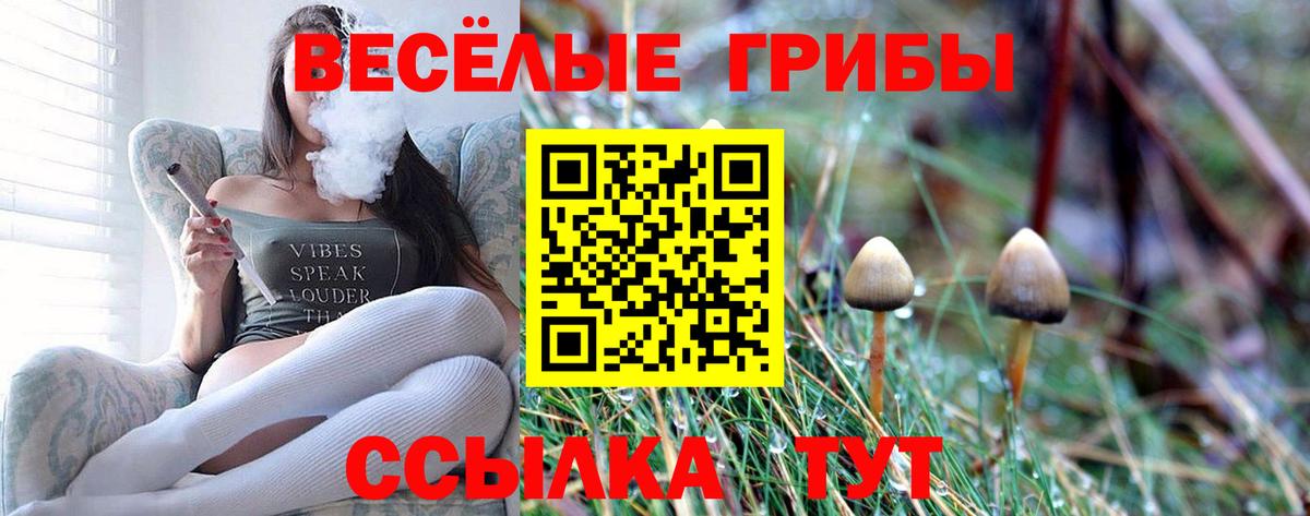 Alpha PVP СК   АМФЕТАМИН   Магадан  Вход с VPN  МЕФ кристаллы  Бошки Шишки  КОКАИН 